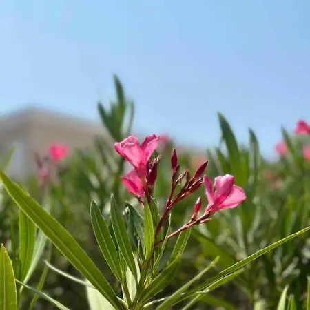 Elegant 4p Neuf 2 *, Piscine, A 150m Bandol